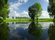 开云官网-高光与枷锁，范弗利特闪耀之夜，尼克斯团队防守窒息独行侠