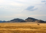 开云-绝境弹道，从深渊归来的克莱·汤普森如何用三分雨浇灭公牛