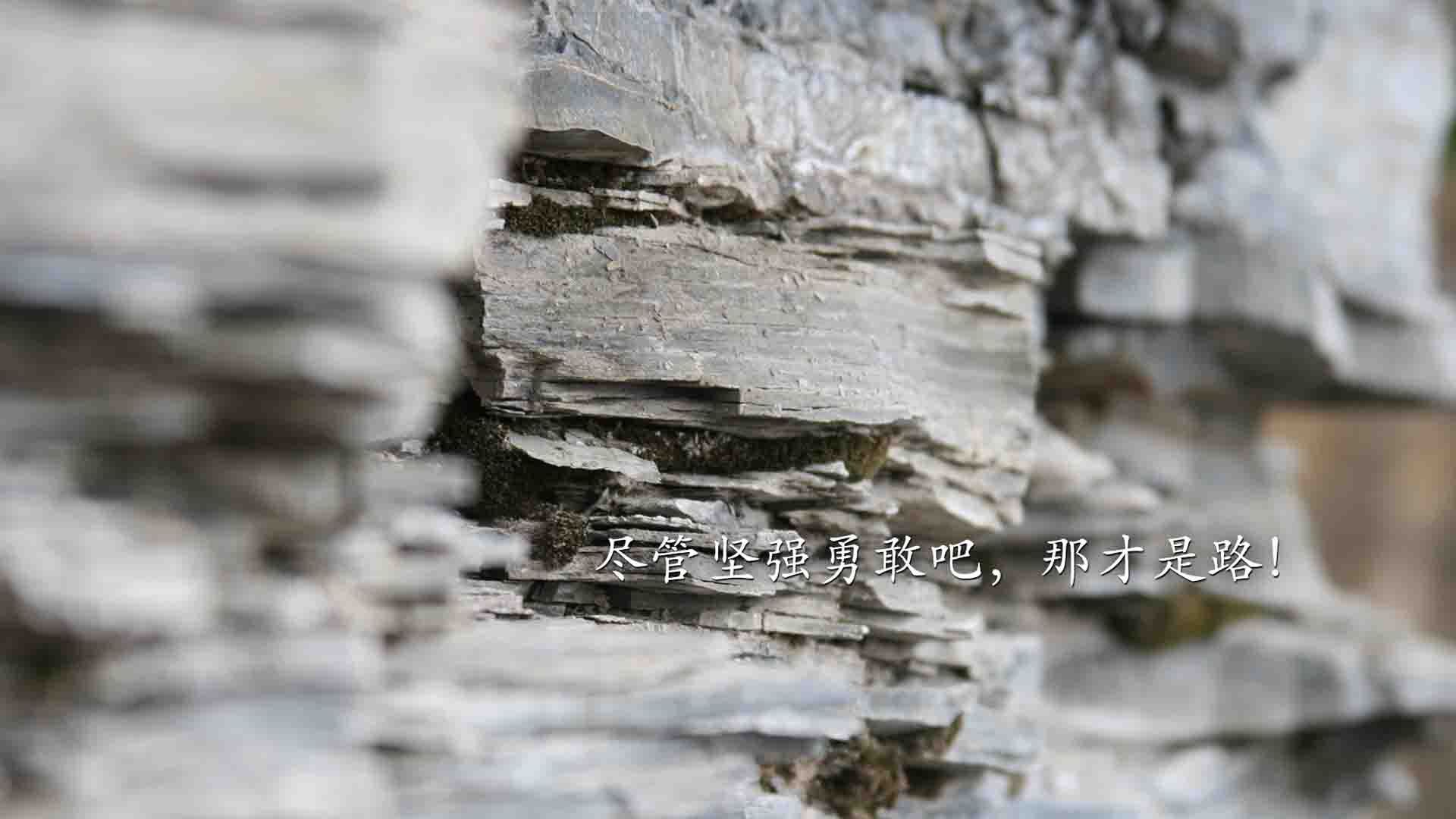 铁血绞杀,公牛窒息式防守强行终结骑士,芝加哥的逆袭之夜