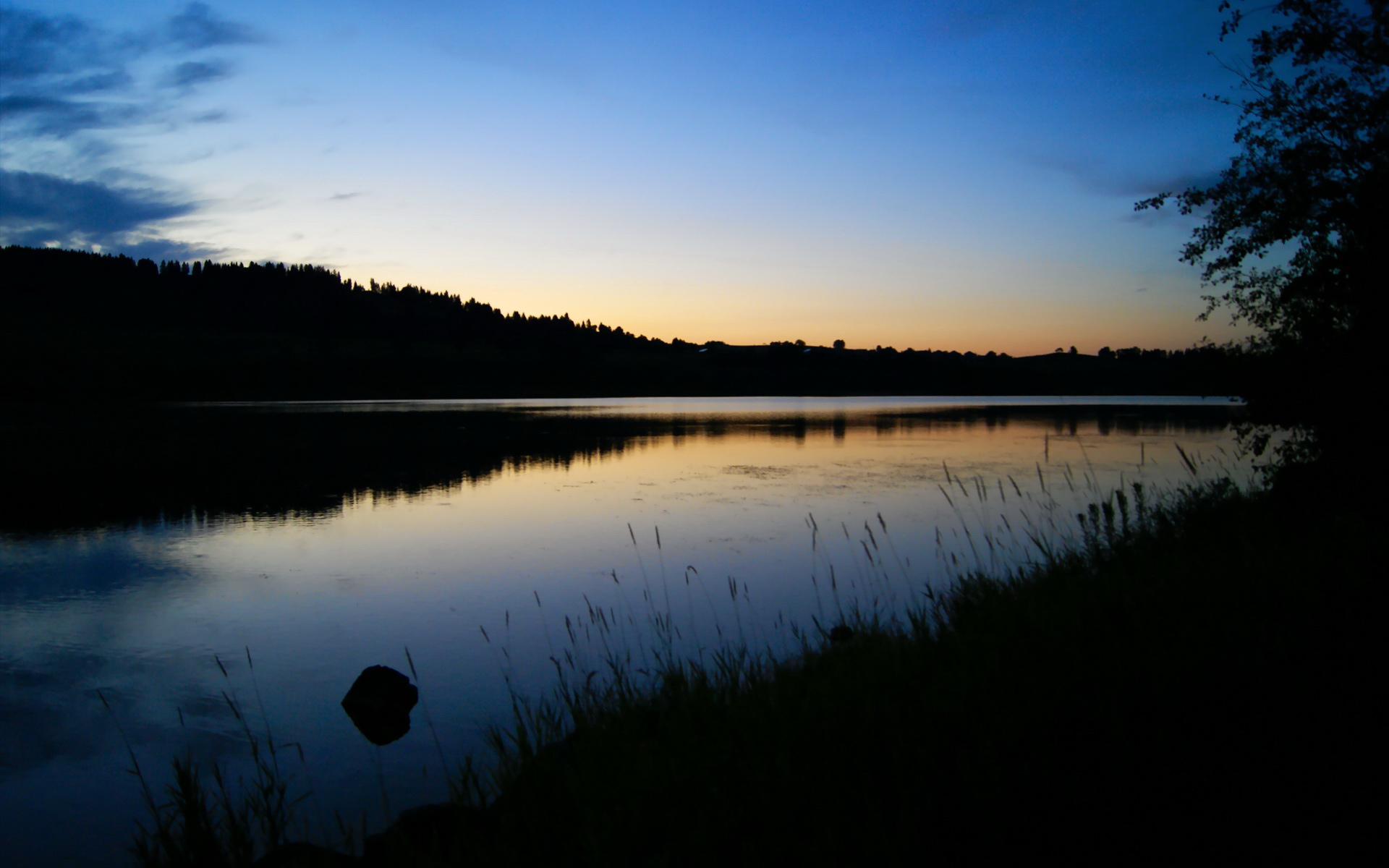 跨越时空的篮球射手，当克莱遇见世界杯之夜