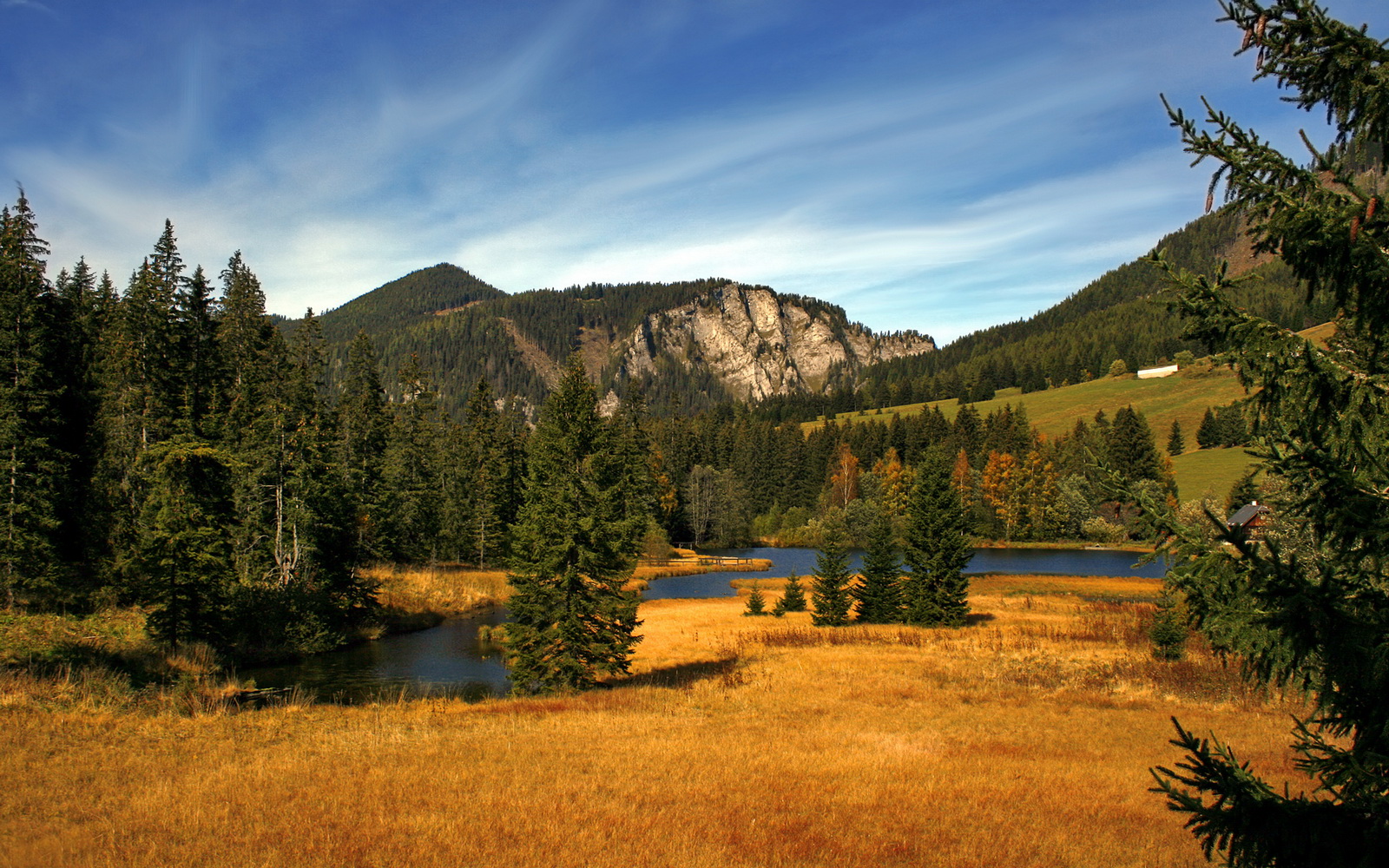爱德华兹的跨界奇迹，从NBA生死战到西甲德比统治