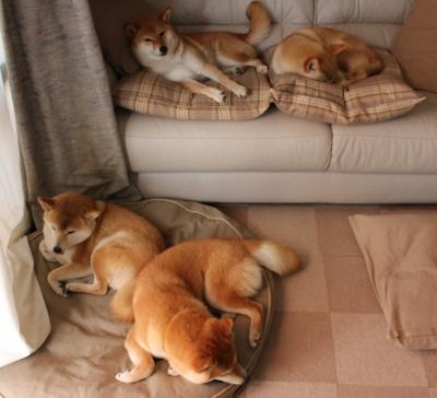 欧文单节19分导演进攻狂潮 篮网三分钟海啸冲垮马刺