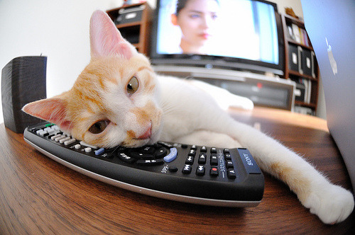 当红牛遇见黑星，一场无国界德比与福登的时间切割术