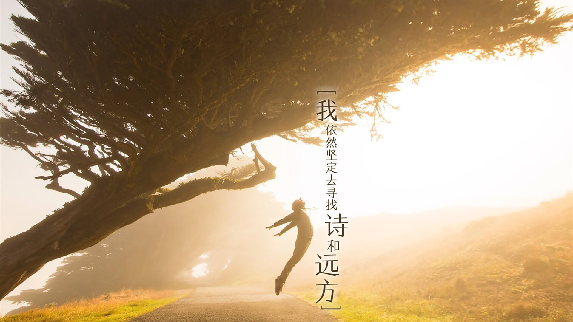 破解连续进攻之谜!库尔图瓦的两次神扑如何成为守护摩纳哥的关键先生?