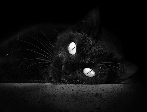 黄潜艇击沉西亚豪门！戈麦斯单核驱动，比利亚雷亚尔拿下卡塔尔的背后是数据统治