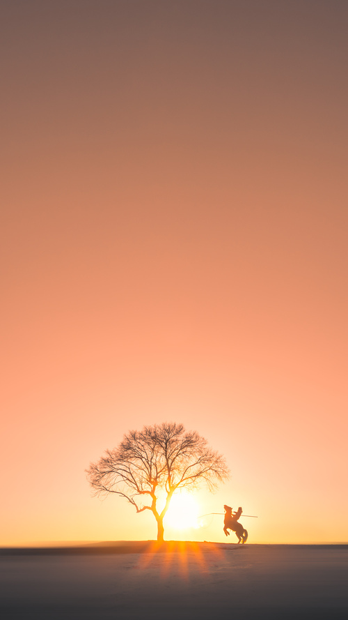 哥伦比亚风暴席卷蒙扎,红色跃马在主场被压制的战术迷局