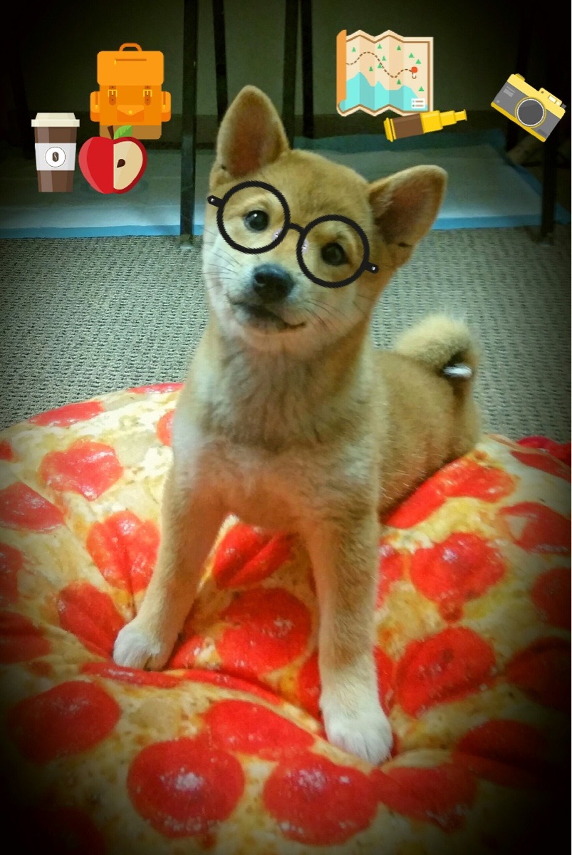 冰与火之歌，美加墨世界杯之夜的冷静大脑与进攻引擎