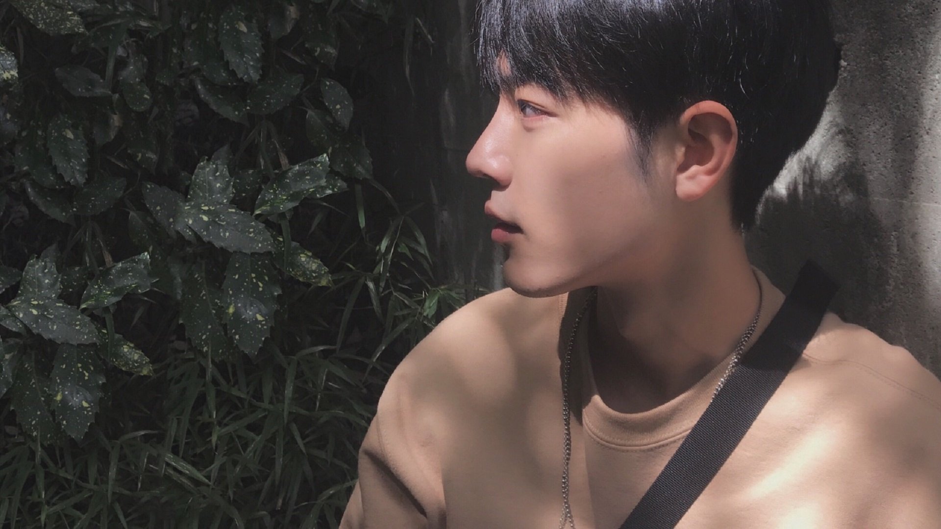 月下孤狼，当东契奇化身森林狼吞噬太阳