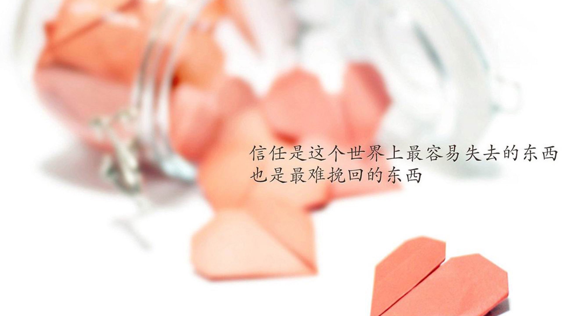 红魔铁蹄踏碎童话防线,欧冠淘汰赛焦点战比利时全面压制丹麦,战术与意志的双重胜利