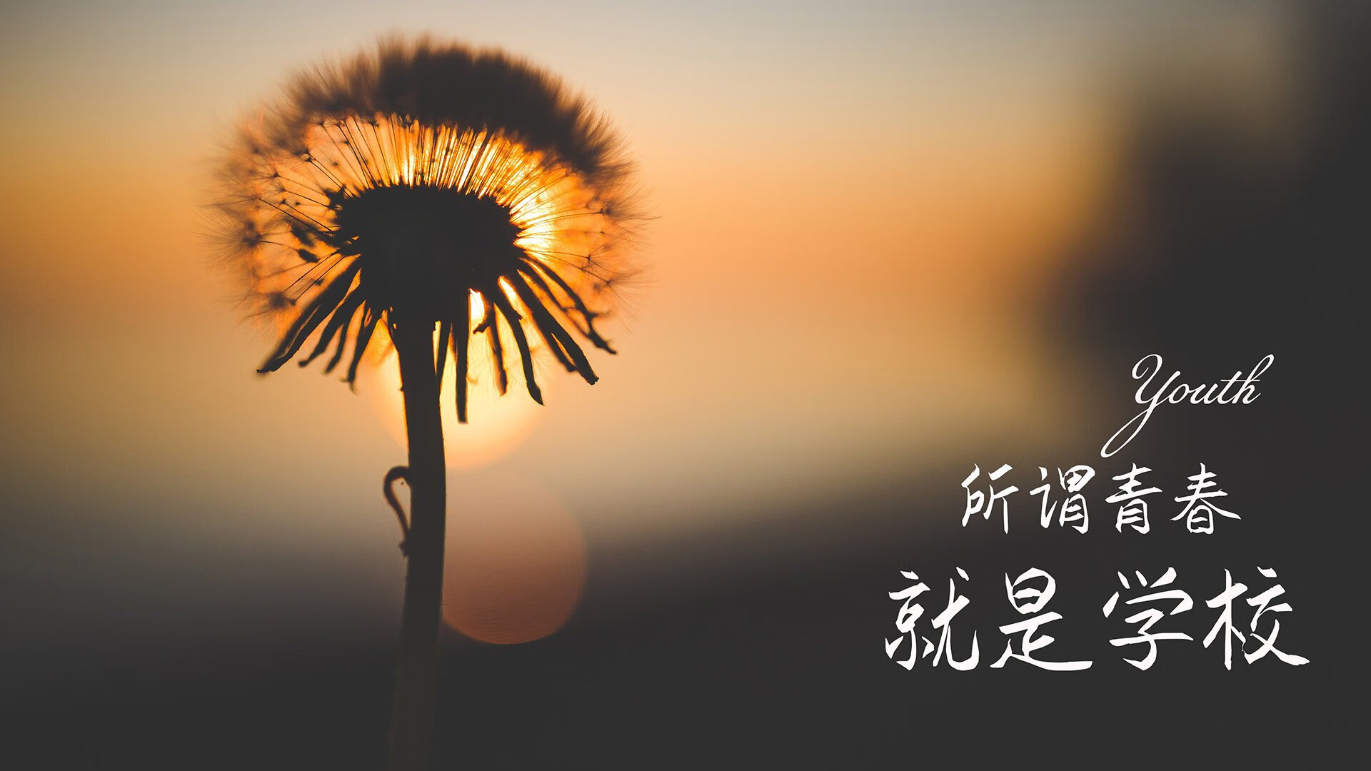 沙漠之鹰的独舞，努涅斯在2026世界杯B组对决中改写了阿联酋足球的命运